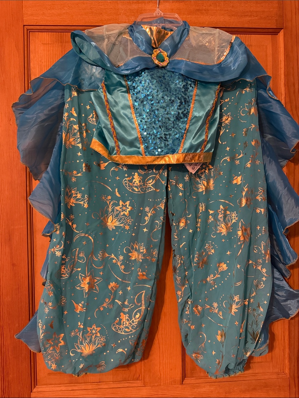 Disney Jasmine Princess Costume
